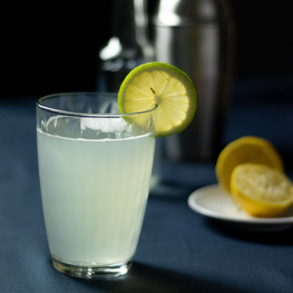 fructosearmer Gin Fizz mit Reissirup